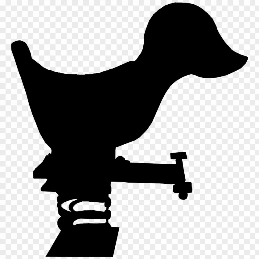 Beak Bird Clip Art Silhouette Line PNG