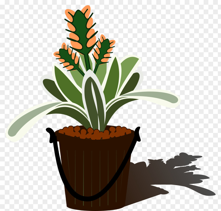 Bromelia Aechmea Chantinii Clip Art PNG