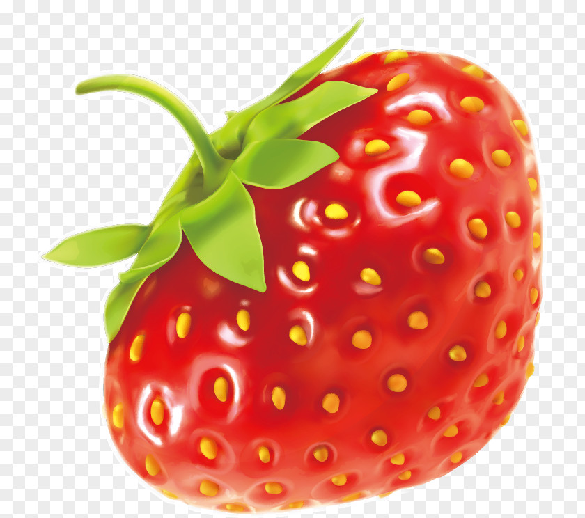 Strawberry Vector Pattern Exquisite Clip Art PNG