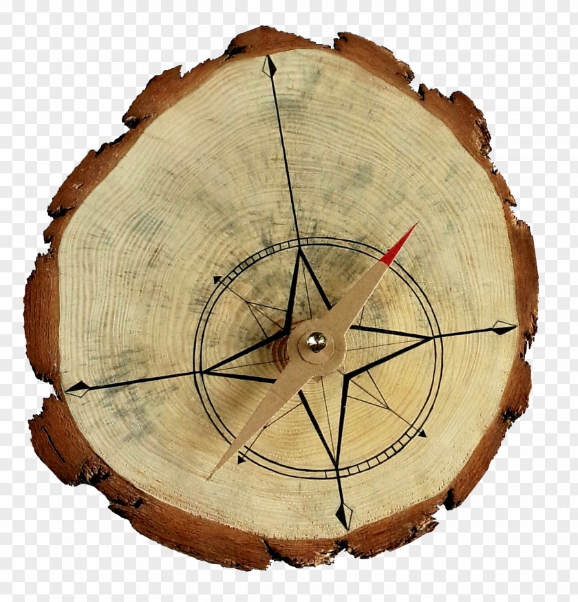 Tree Ring Compass Aastarxf5ngad Wood Google Images PNG