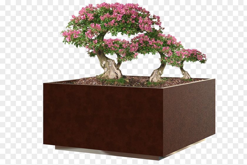 Urban Architecture Chinese Sweet Plum Flowerpot Tree PNG