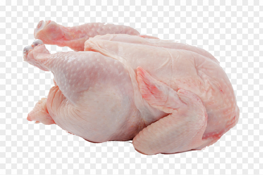 Chicken Leg Meat Broiler PNG meat Broiler, clipart PNG