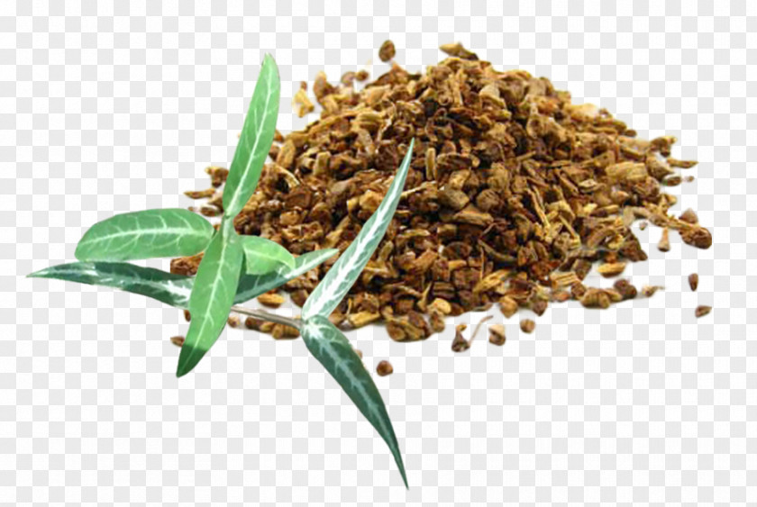 Cinnamon Bark Hemidesmus Indicus Jamaica Sarsaparilla Herb Medicinal Plants PNG