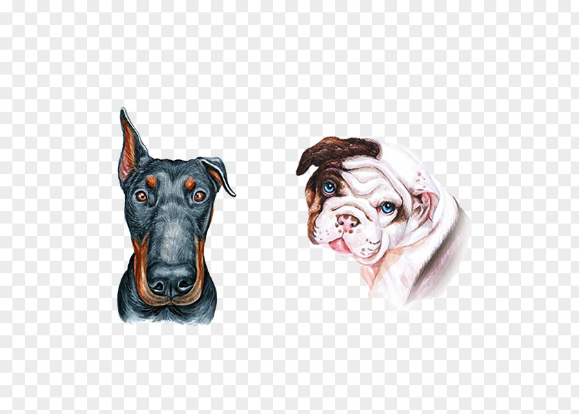 Dog Head Pet Image Puppy PNG