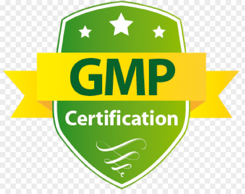 Gmp Logo Brand Product Font Certification PNG