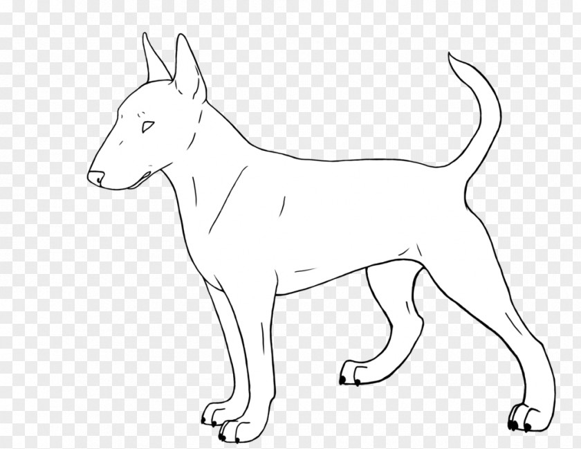 Pitbull Bull Terrier (Miniature) Staffordshire Bulldog Line Art PNG