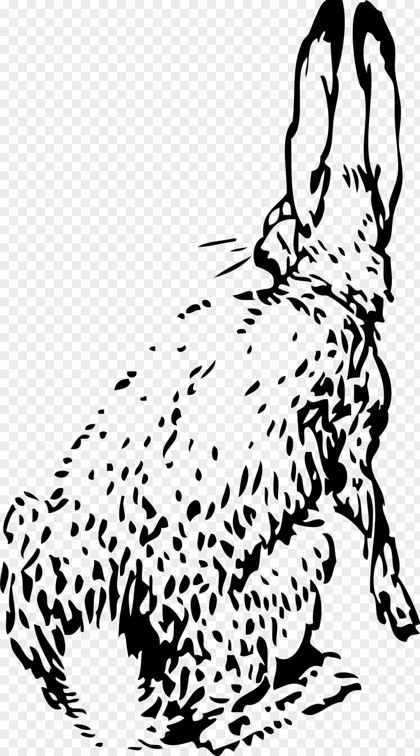 Rabbit White European Hare Clip Art PNG