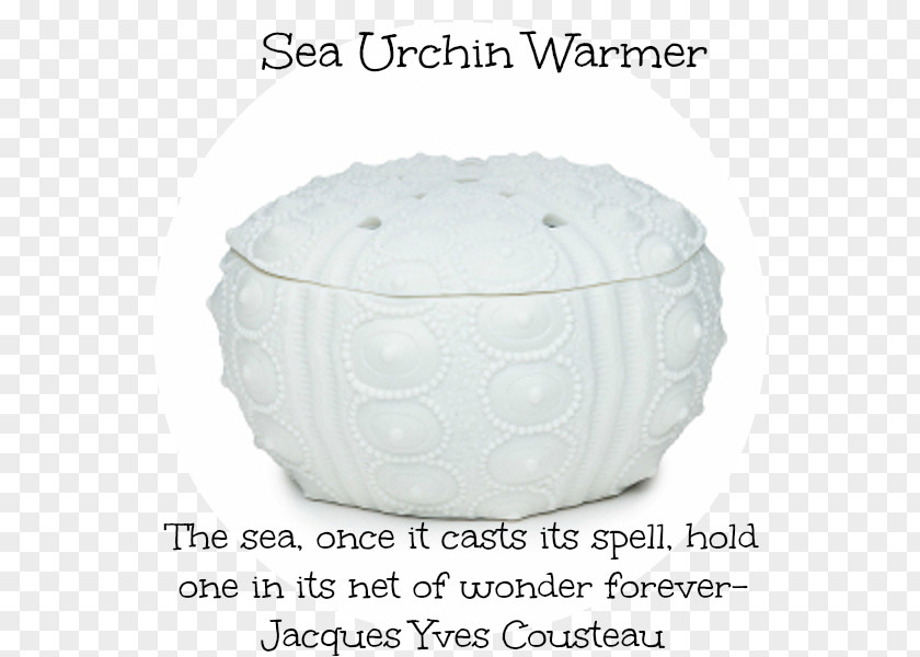 Sea Urchin Scentsy Ceramic PNG