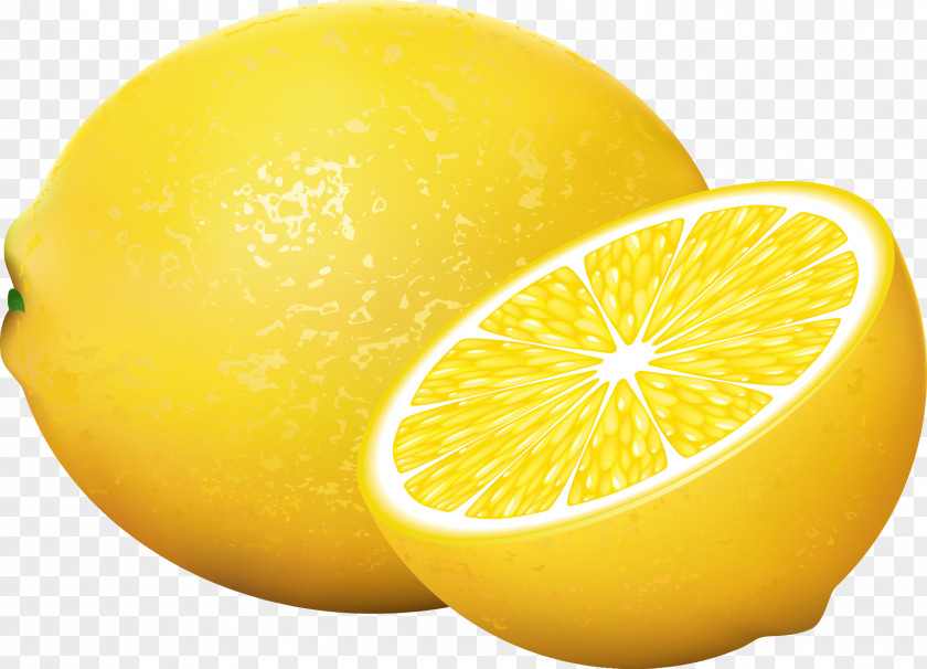 Vector Painted Lemon Lemonade Folate Grapefruit PNG