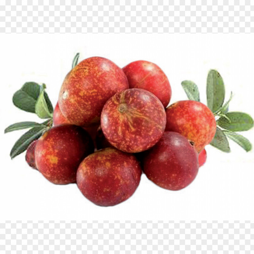 Amazon Rainforest Camu Peruvian Cuisine Juice Fruit PNG