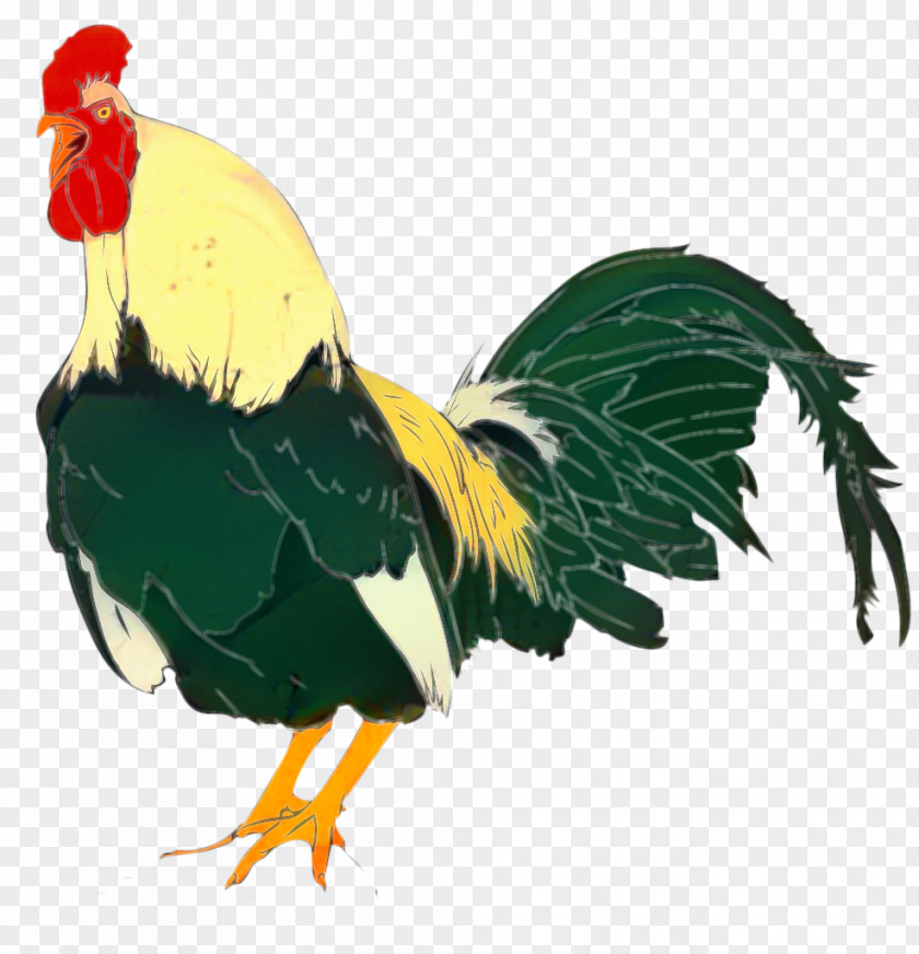 Chicken Clip Art Rooster Vector Graphics PNG