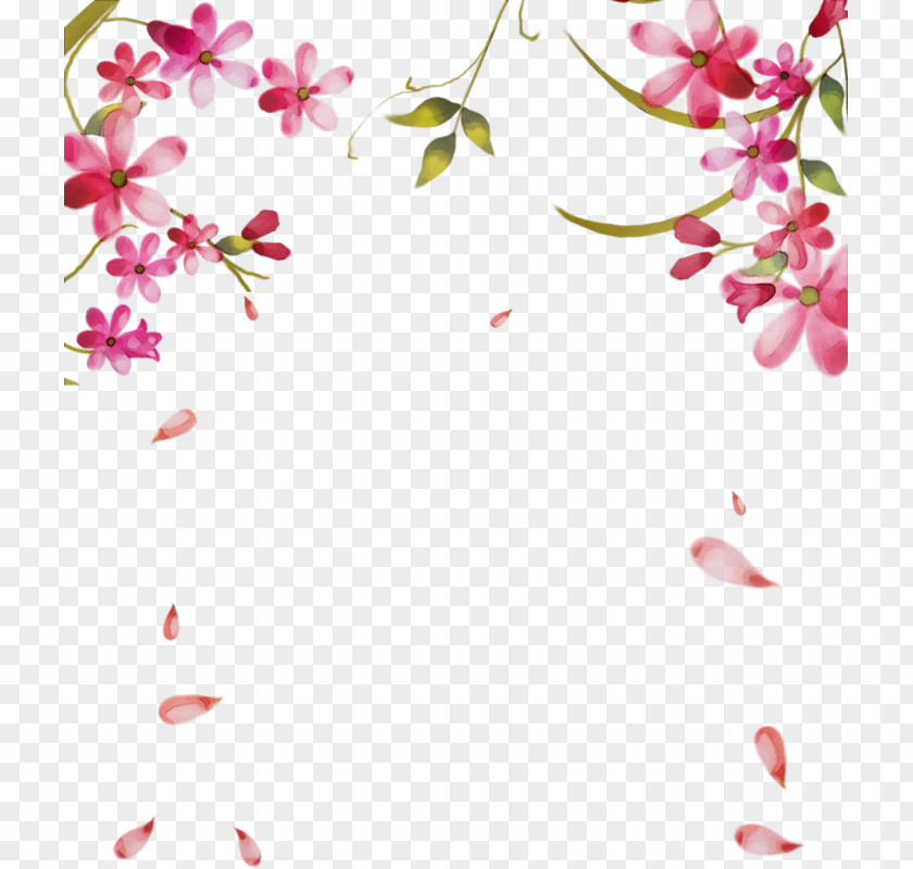Pink Flower Petal Pedicel Plant PNG