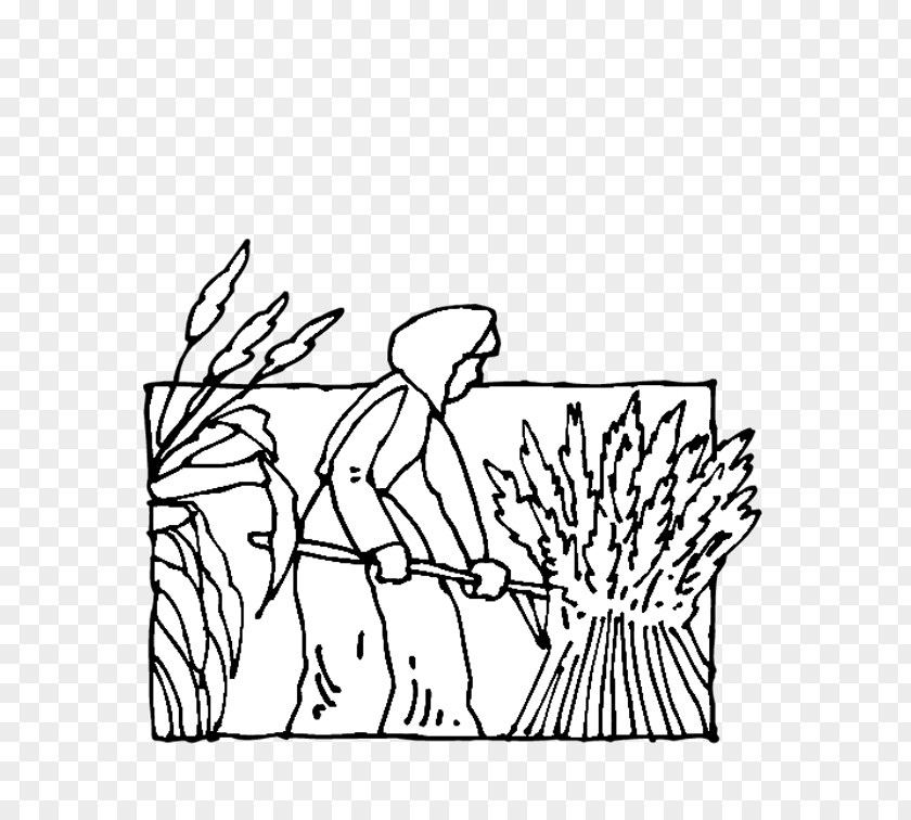 Planting Paddy Field Drawing Coloring Book Line Art Image PNG