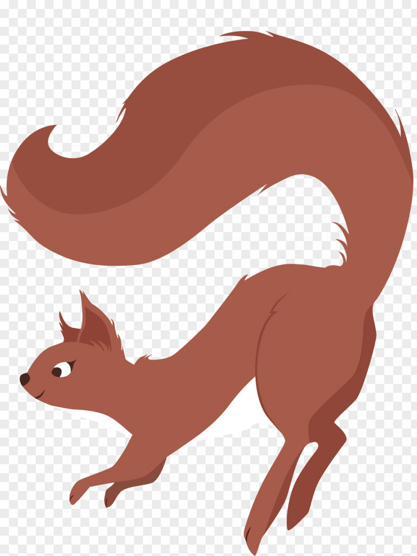 Snale Nissedal Municipality Whiskers Loppa Squirrel Årak PNG