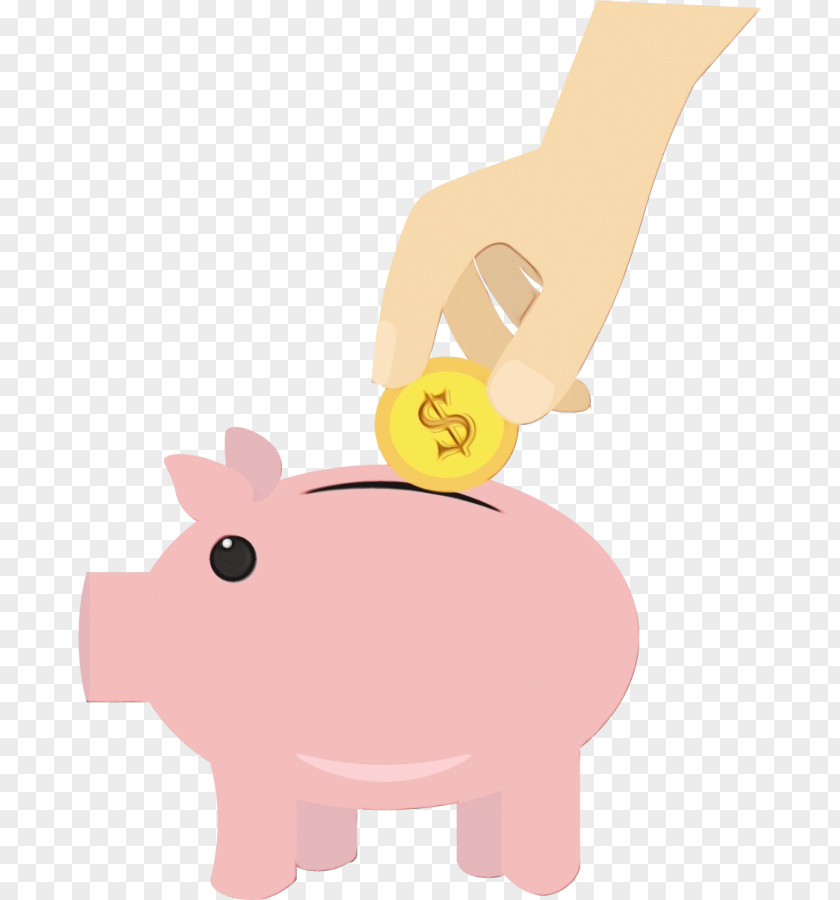 Domestic Pig Animal Figure Piggy Bank PNG