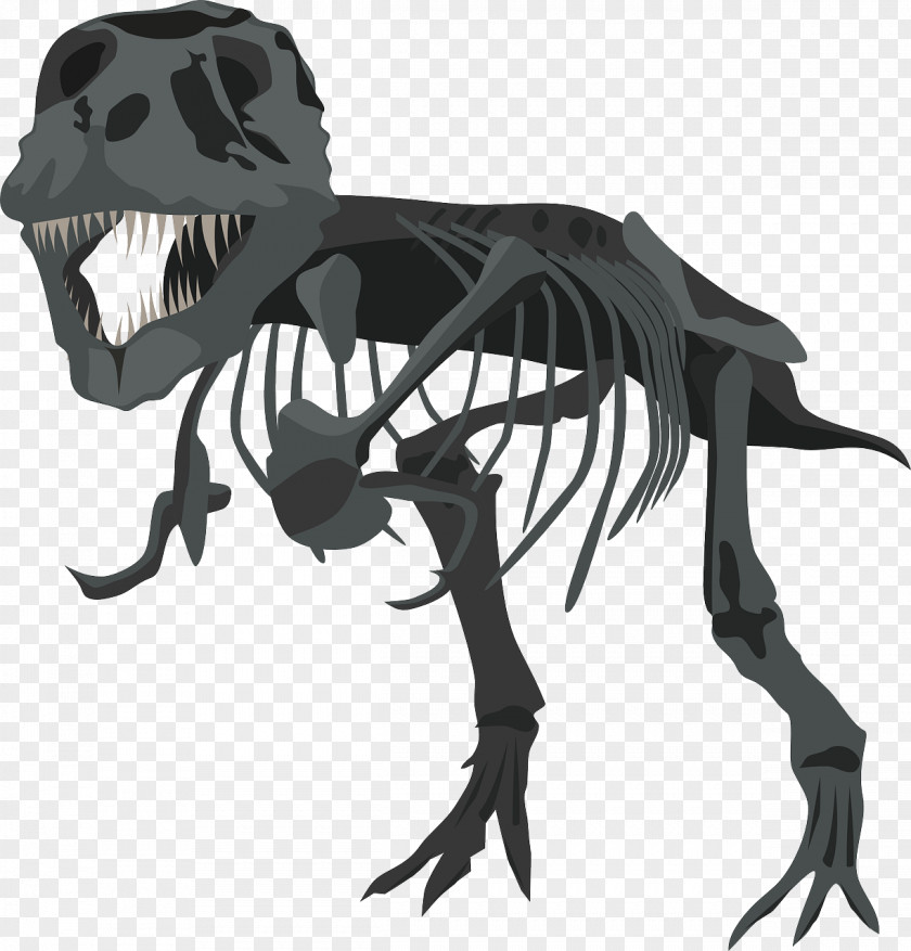 Grey Dinosaur Skeleton Tyrannosaurus Rex Bone Clip Art PNG