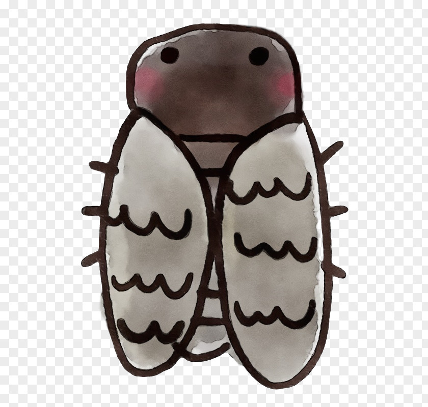 Insect Brown Beetle PNG
