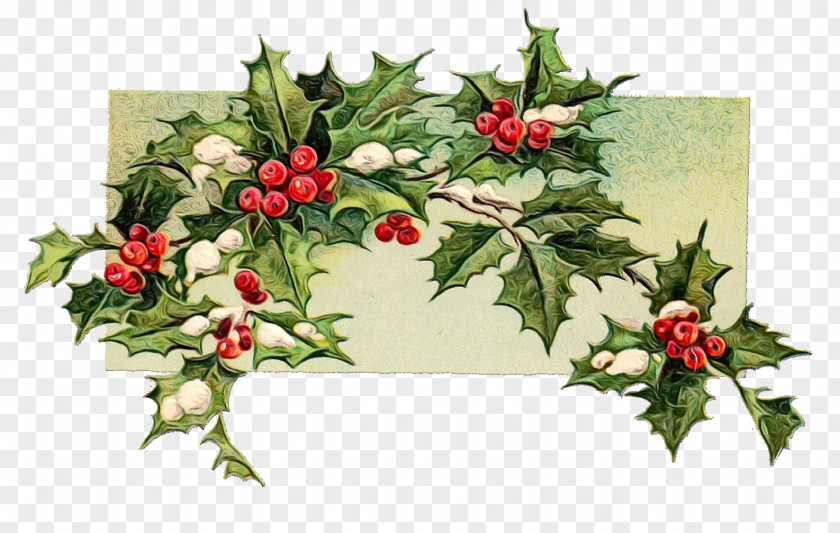 Common Holly Clip Art Christmas Day Image PNG