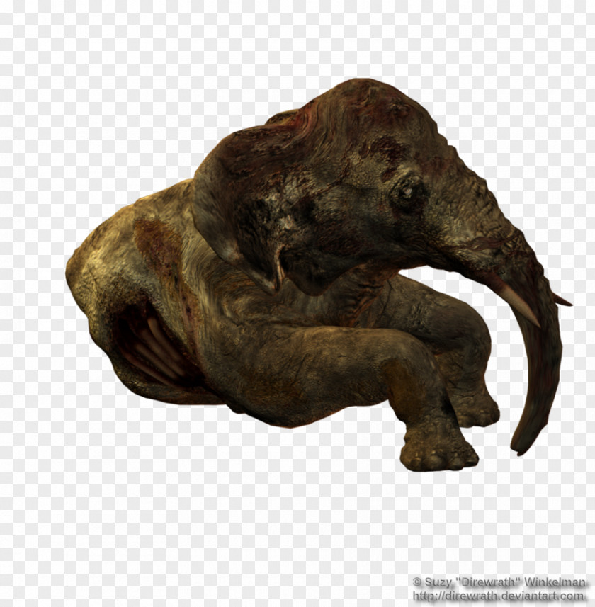 Elephants African Elephant Pachydermata Tyrannosaurus Animal PNG