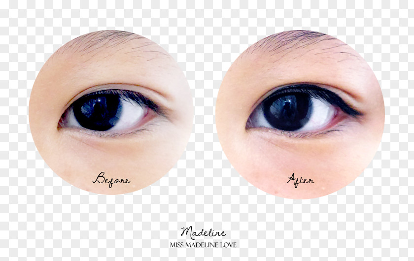 Eye Eyelash Extensions Liner Shadow Eyebrow PNG