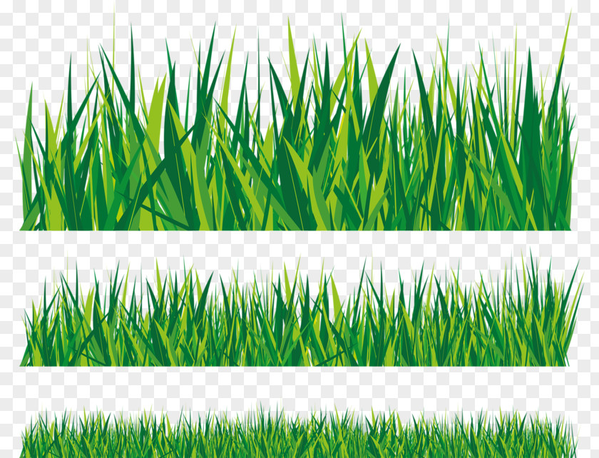 Grass Background Royalty-free Clip Art PNG