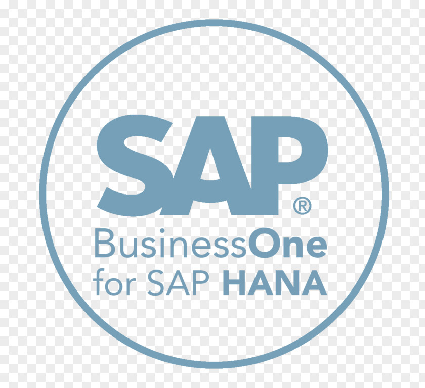 Business SAP One SE ByDesign Enterprise Resource Planning PNG