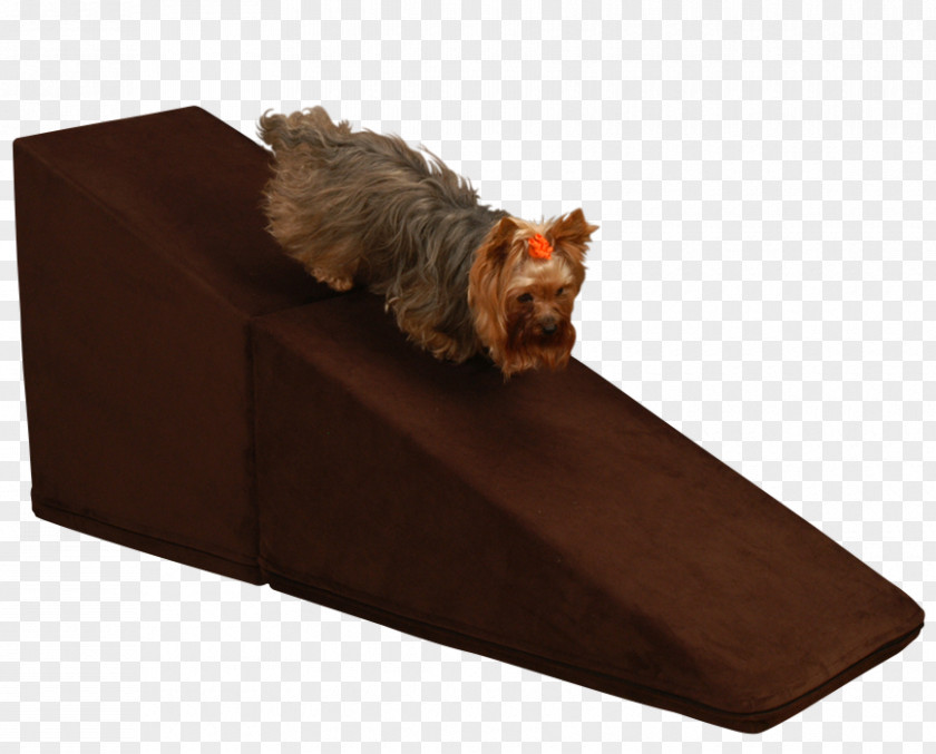 Chocolate Brown Yorkshire Terrier Couch Bed Rectangle PNG