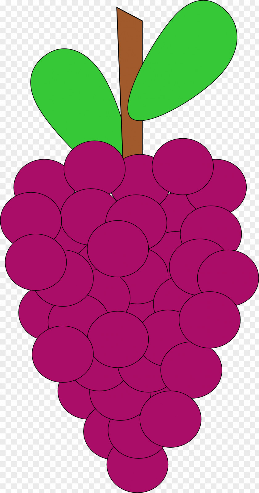 Grapevine Clipart Common Grape Vine Clip Art PNG