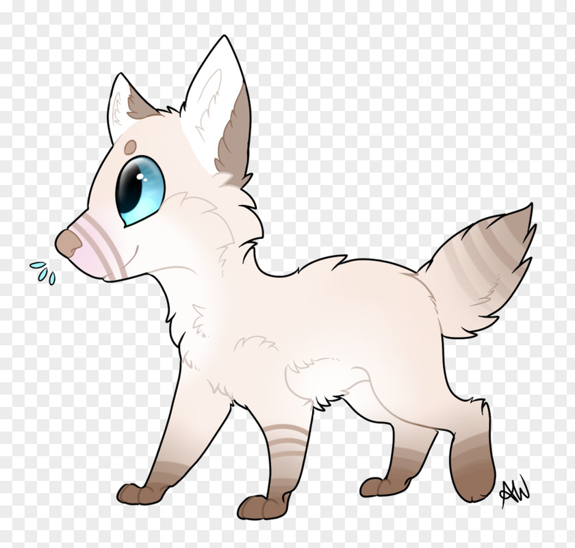 Kitten Whiskers Dog Red Fox Cat PNG