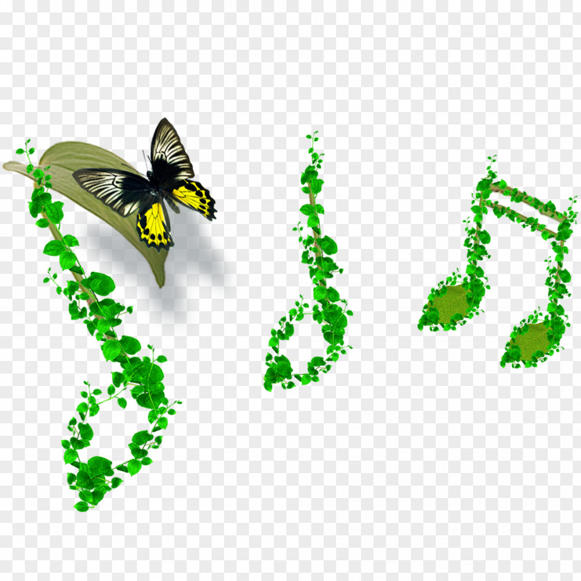 Photos Notes Violin Musical Note Instrument String PNG