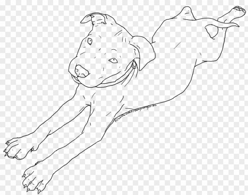 Pitbull American Pit Bull Terrier Puppy Drawing Line Art PNG