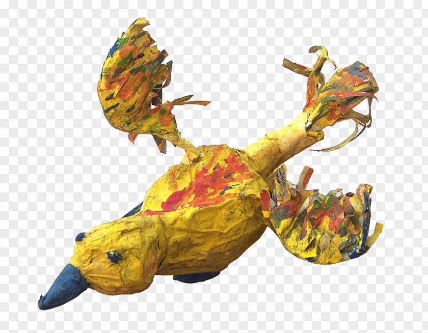 Ptaki Reptile Art Fundacja Dziecko I Sztuka Museum Fauna PNG