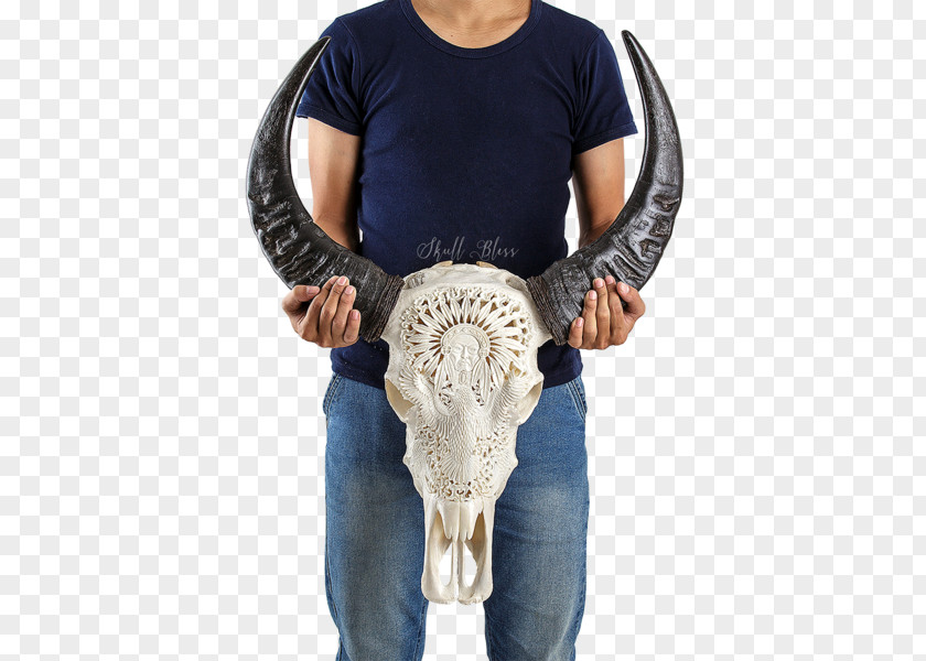 Skull Horn Cattle Eagle Neck PNG