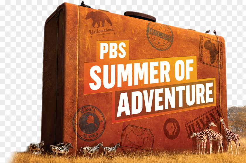 UNC-TV PBS Kids WNED-TV Adventure Film PNG