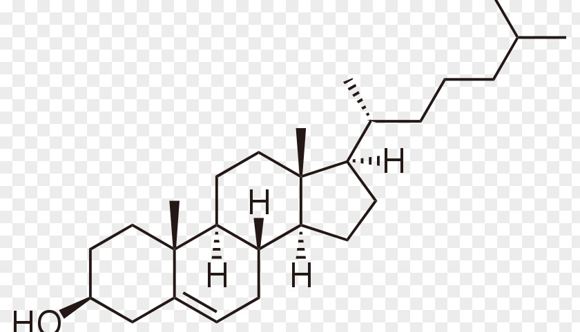 Cholestrol Molecule Amphiphile Cholesterol Lipid Bilayer PNG