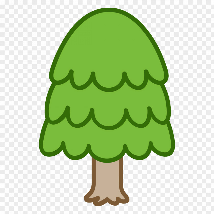 Conifer Pine Family Green Clip Art Leaf Tree Plant PNG