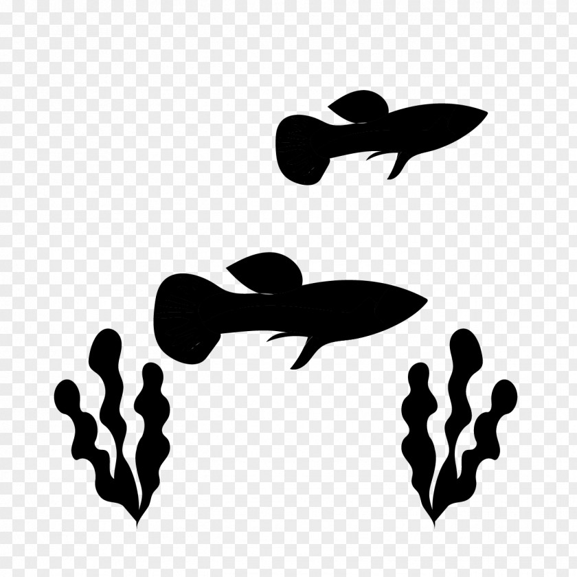 Guppy Juvenile Fish Clip Art Tropical PNG