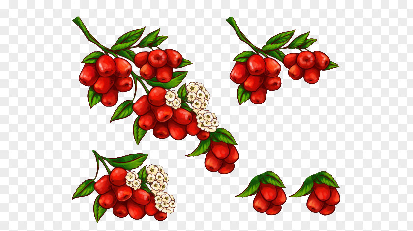 Hand-painted Red Dates Jujube Cartoon PNG