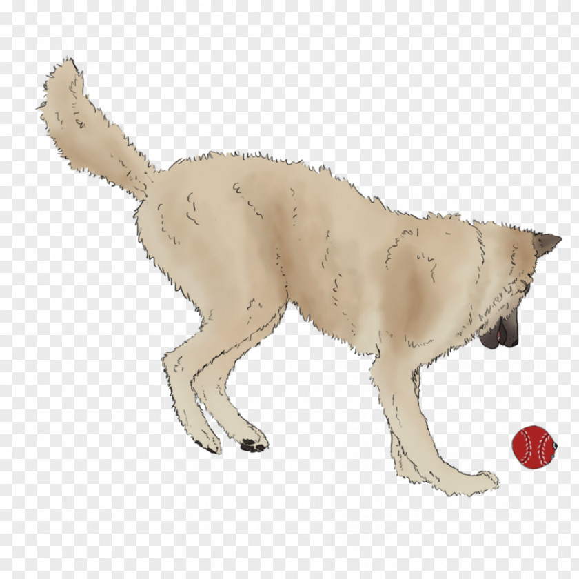 Playing Ball Dog Breed Lion Puppy Retriever Cat PNG