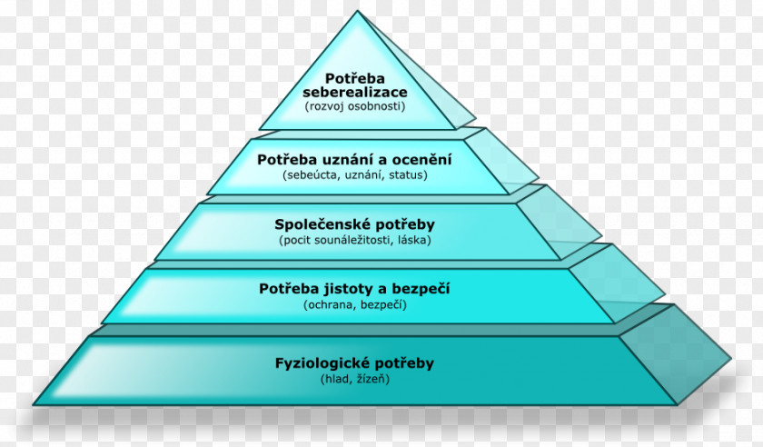 Abraham Maslow Maslow's Hierarchy Of Needs Psychology Motivation Croissance Biologique PNG