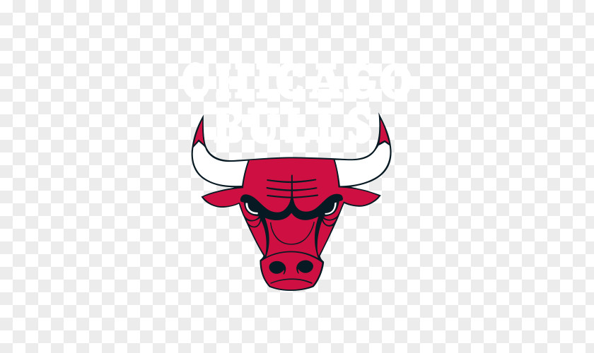 Bulls Chicago New York Knicks Milwaukee Bucks Boston Celtics PNG