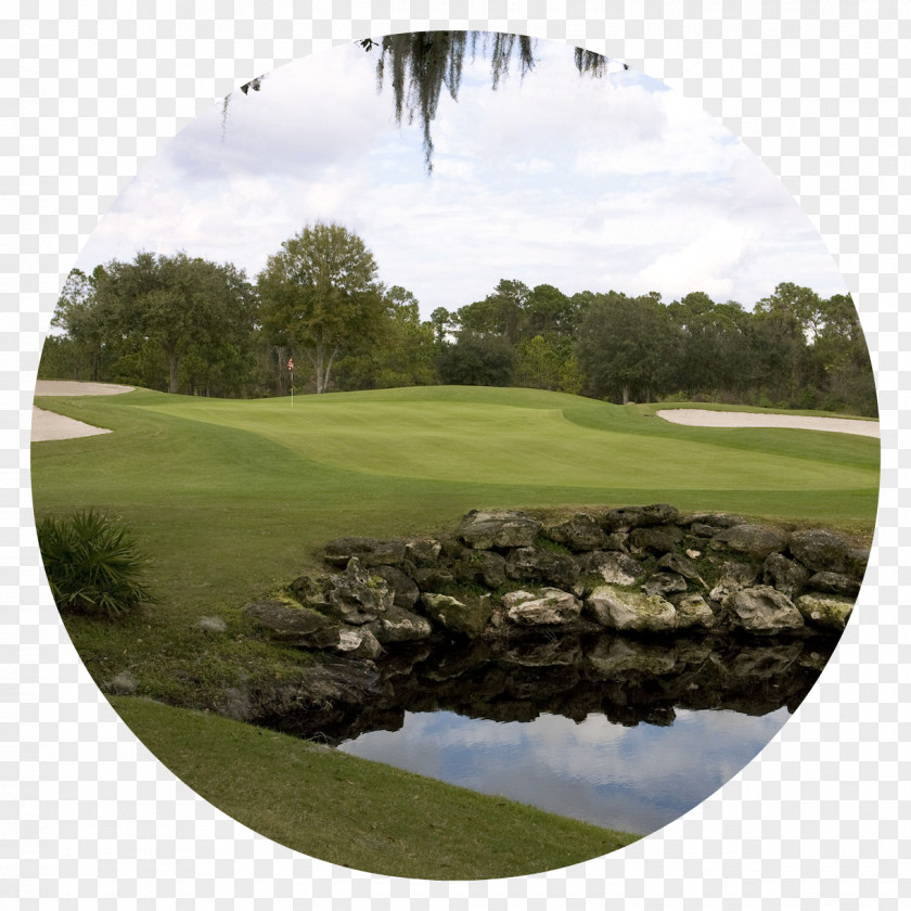 Golf Mission Inn Resort & Club Course Orlando Tees PNG
