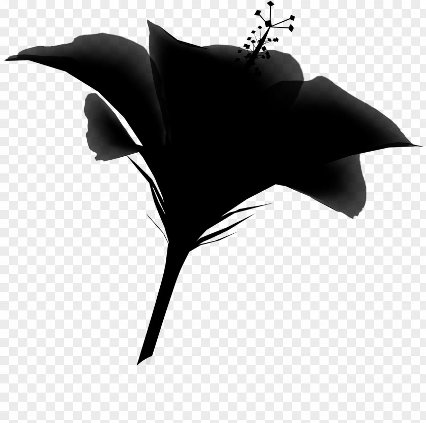 Leaf Silhouette PNG