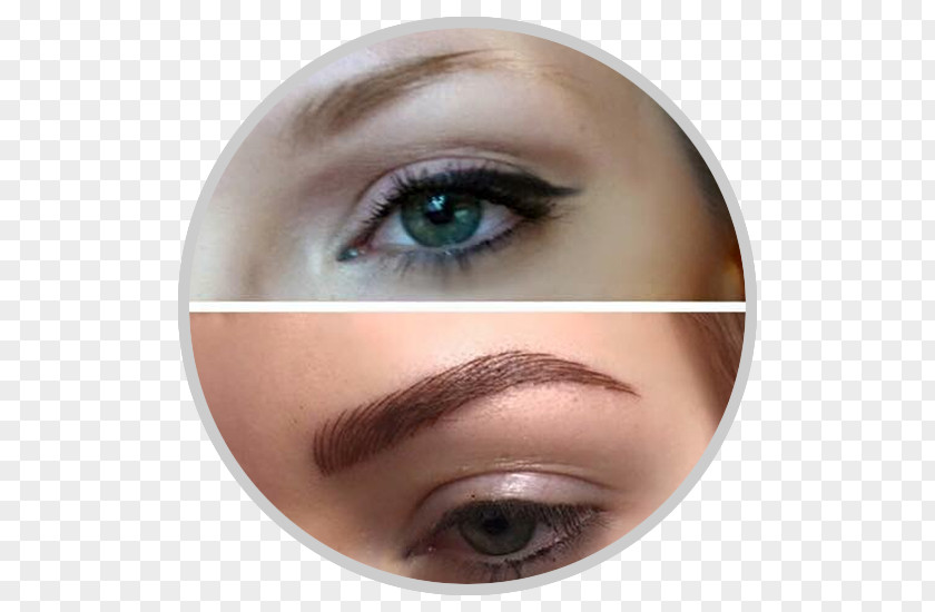 Thin Beauty Permanent Makeup Microblading Eyebrow Tattoo Cosmetics PNG