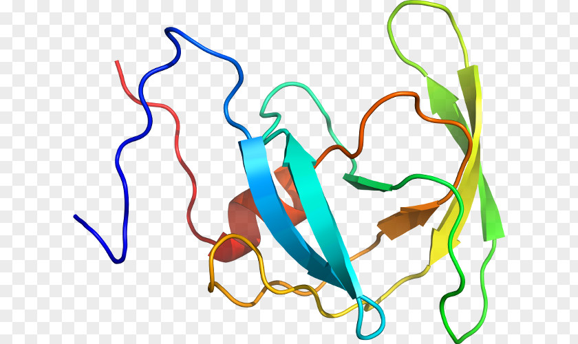 Atom Model Timeline Clip Art Product Design Organism Line PNG