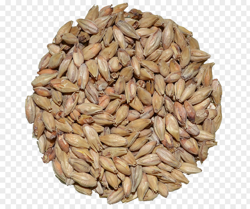 Grain Store Beer Malt Ale Vegetarian Cuisine Stout PNG