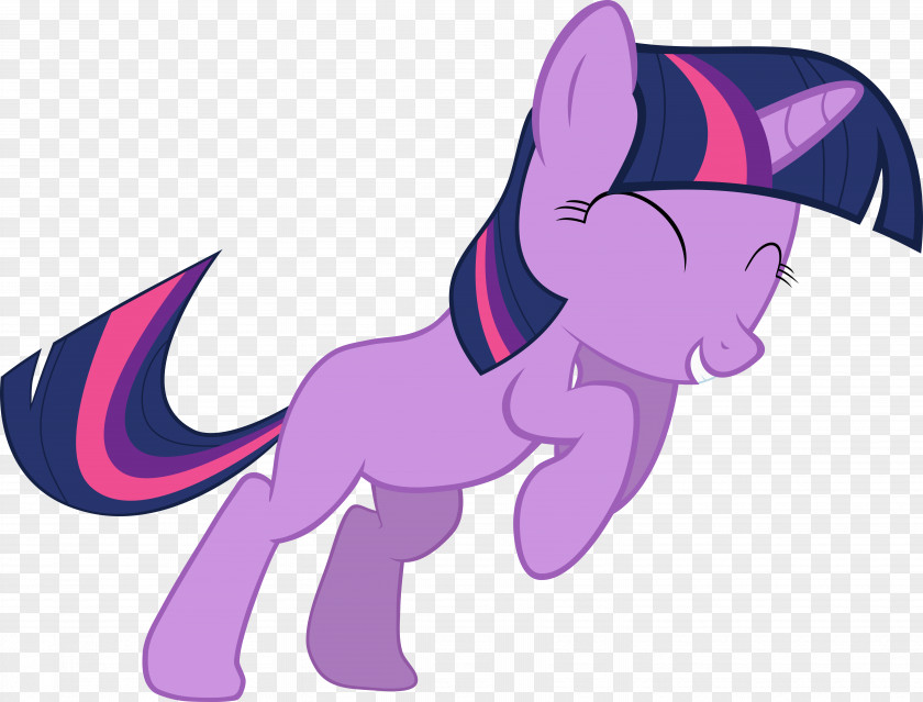 My Little Pony Twilight Sparkle Rainbow Dash YouTube PNG