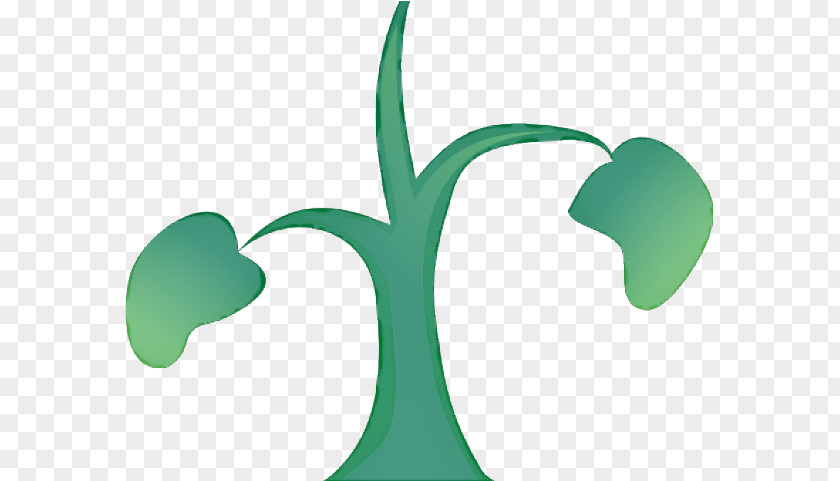 Plant Stem Tree Green Leaf Clip Art Logo Symbol PNG