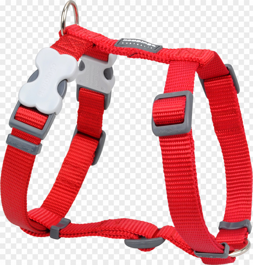 Red Collar Dog Harness Dingo Horse Harnesses PNG