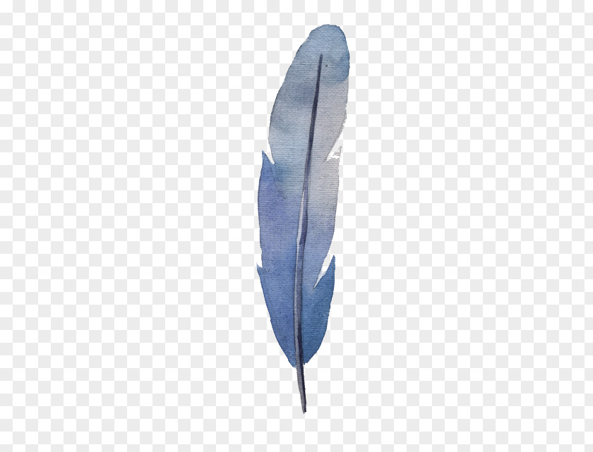 Watercolor Feather Painting PNG